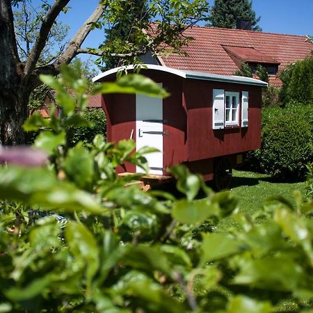 Апартаменты Haus Am Salinenweg Грассау Экстерьер фото